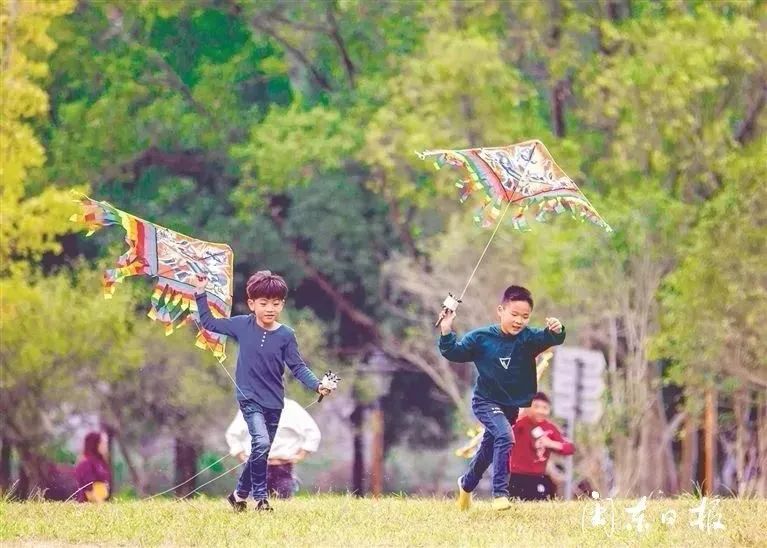 中央给力！教育股团灭背后，我看到了国家的希望