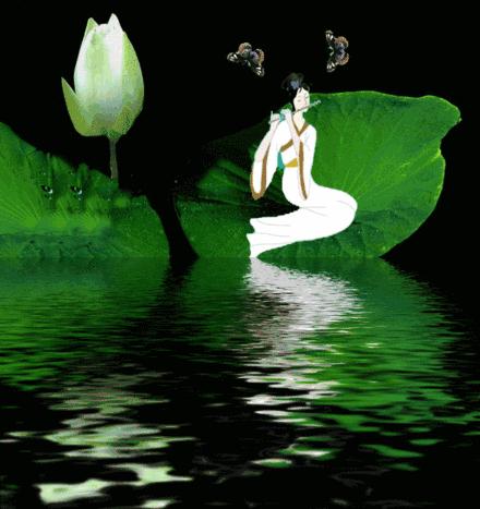 南飞雁答友人,南飞雁古筝原唱