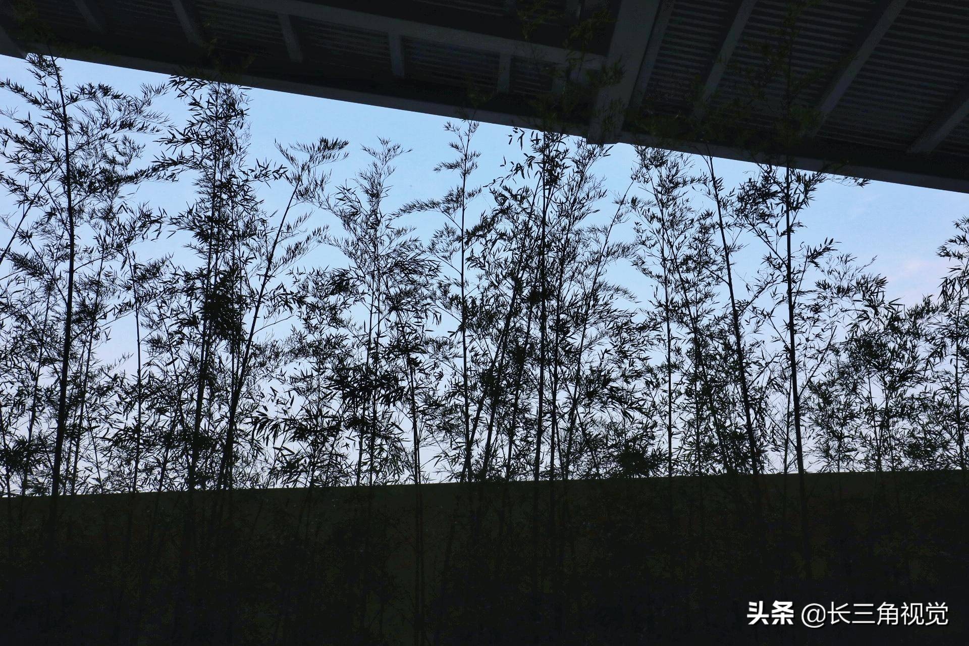 婀栧窞婊ㄦ箹楂樼骇涓,婀栧窞楂樼骇涓