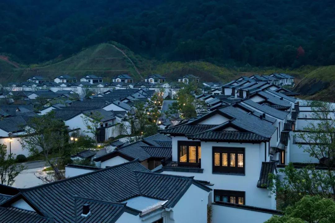 没忍住,还是再次来看了桃李春风