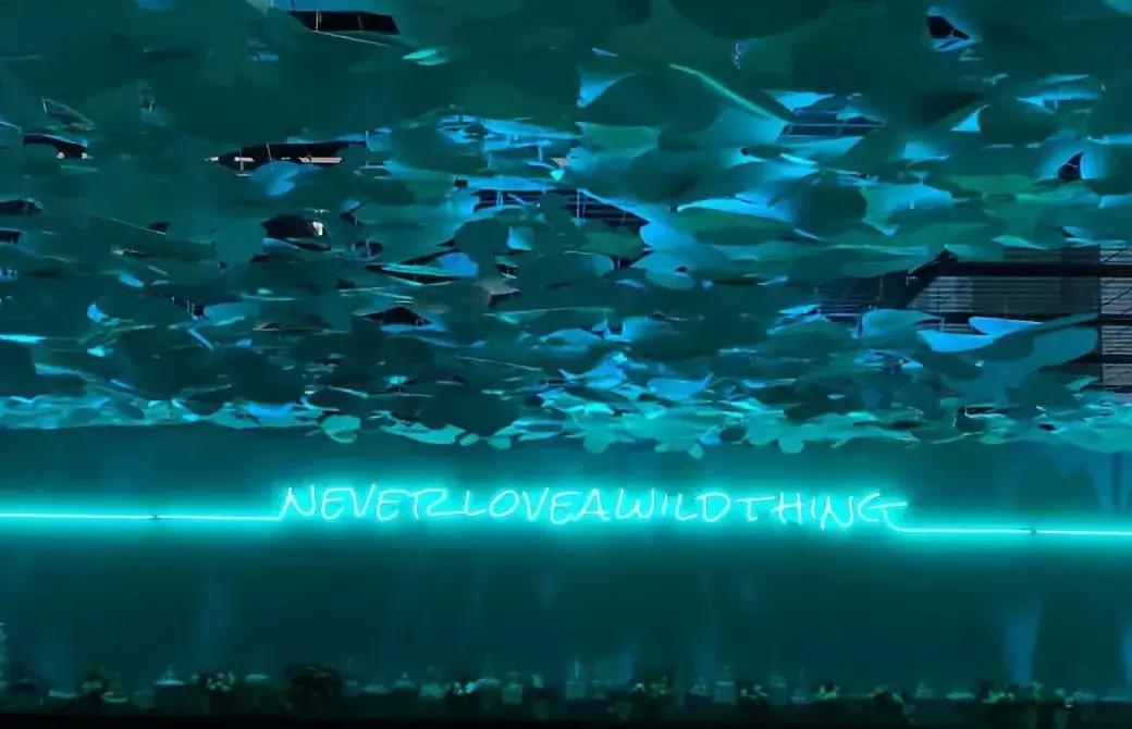 blackpink快闪店,快闪店的创意视频