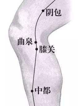 中医肝与肾的关系,肝藏血肾藏精怎么补