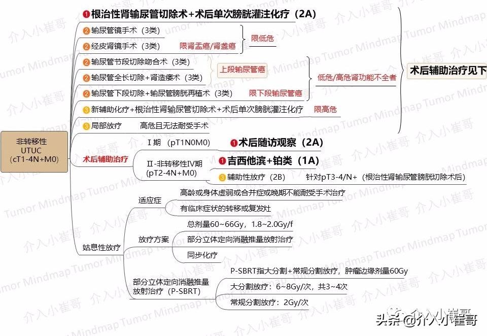 肿瘤护理思维导图,肿瘤免疫思维导图