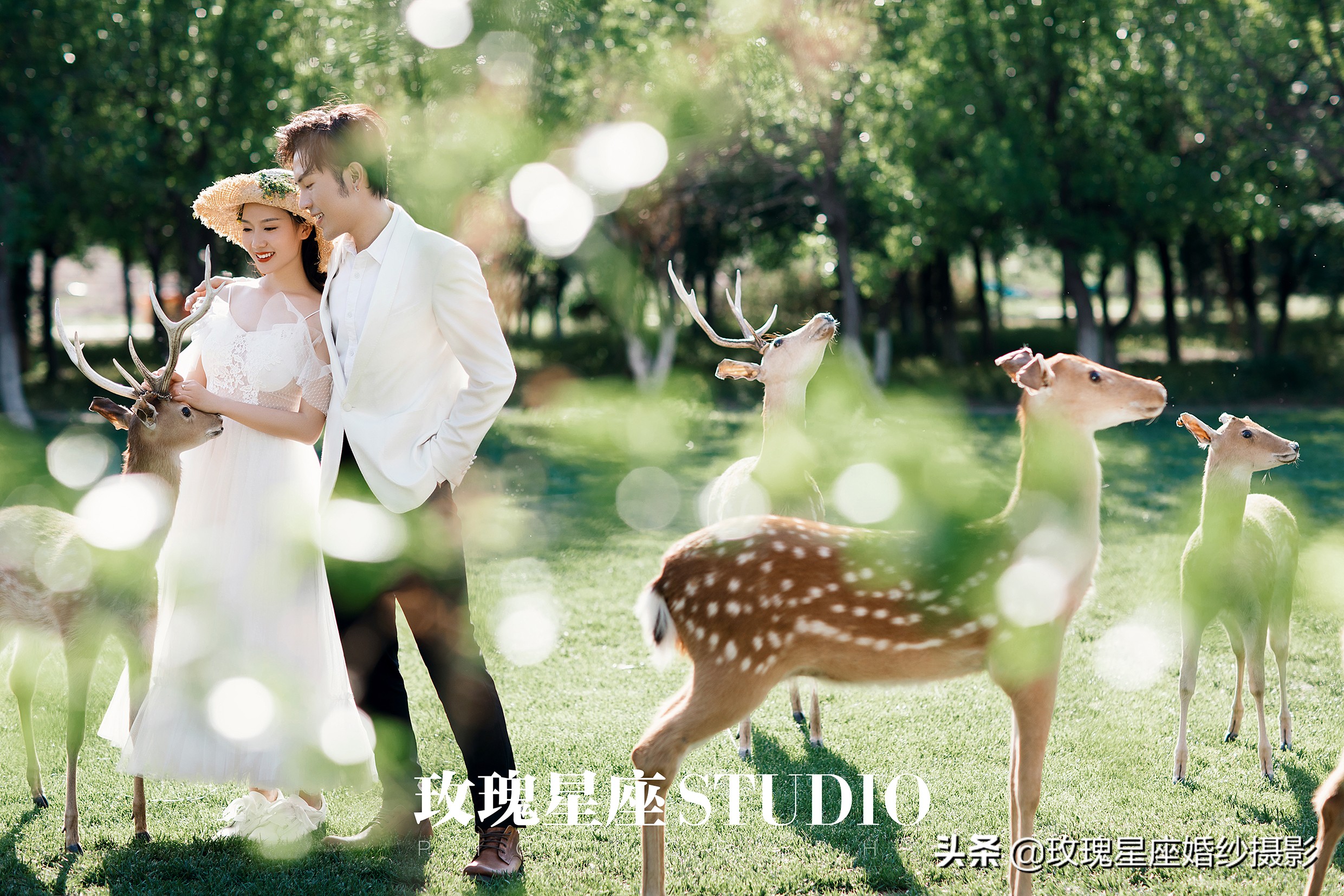 婚纱照必拍的9种风格,韩式小清新可爱俏皮室内婚纱照