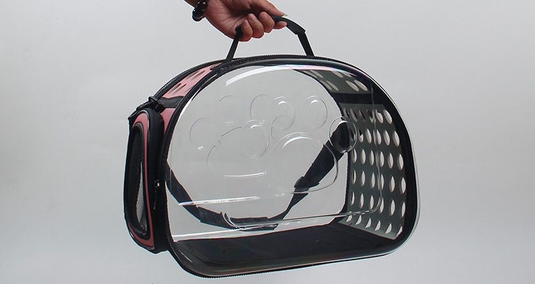 猫咪新手入门必知怎么给猫洗澡,给猫猫洗澡的正确方法