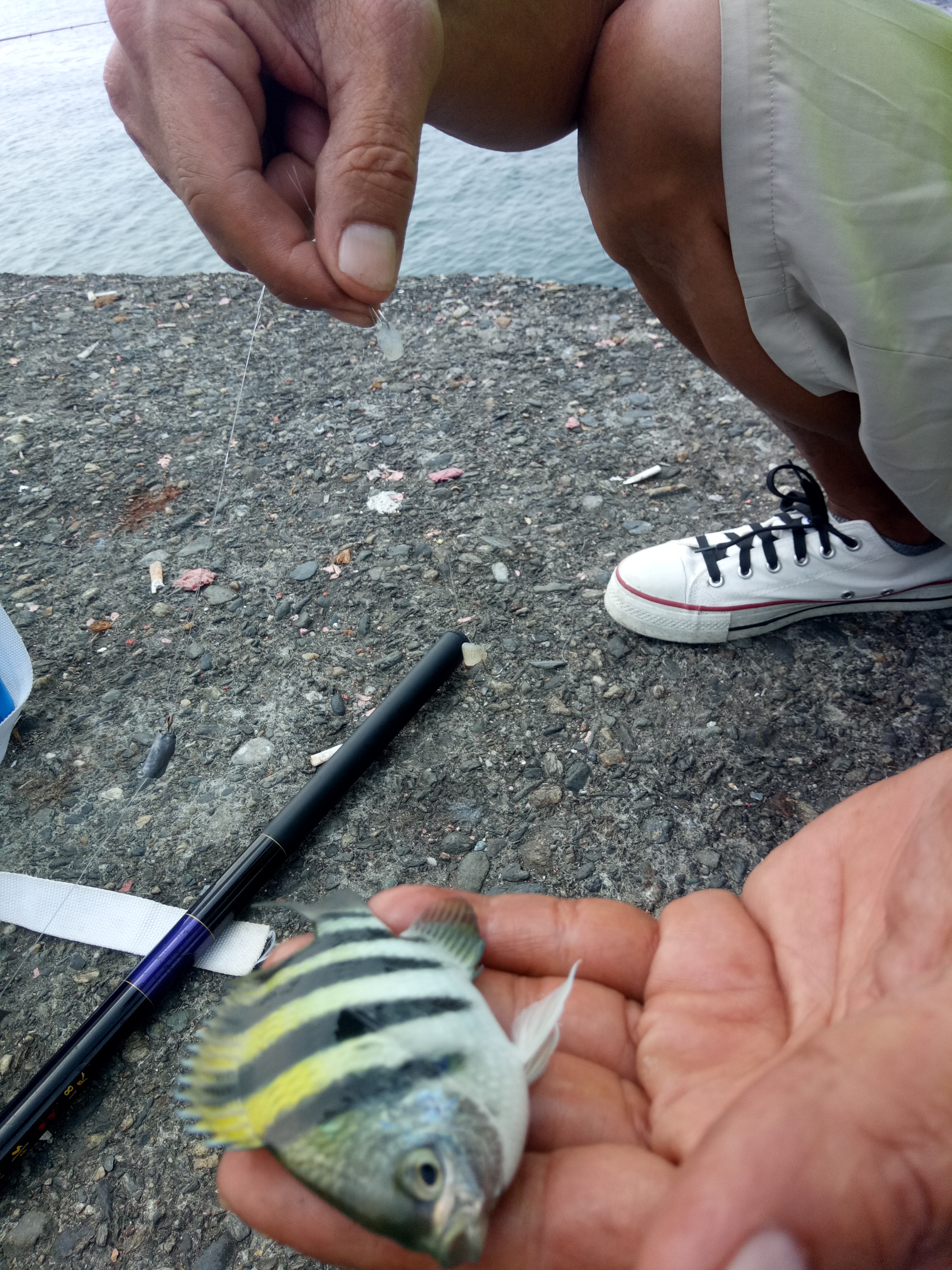 台湾海钓视频,台湾海钓