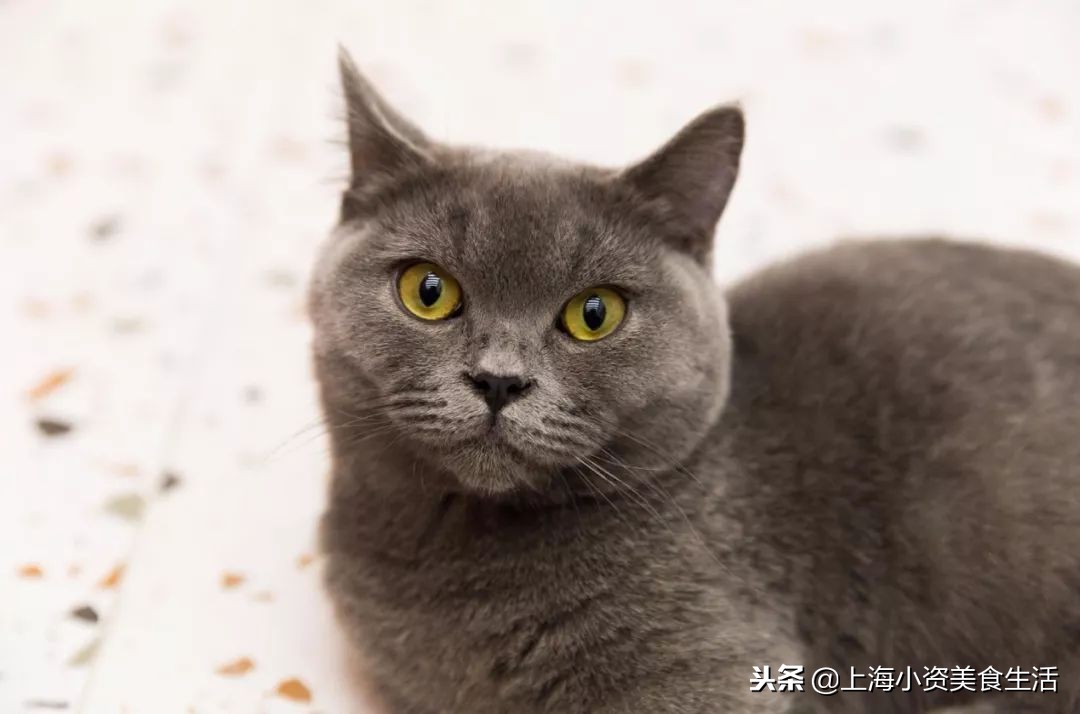 杩涘叆绾康纰戝康纰戣胺,杩涘叆绾康纰戣胺