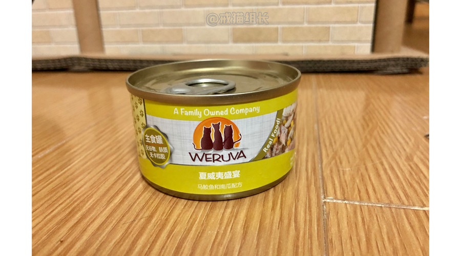 k9幼猫罐头推荐,k9巅峰猫粮