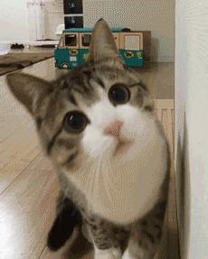 一直都真实存在的流言,一直有人在造谣我自己怎么办