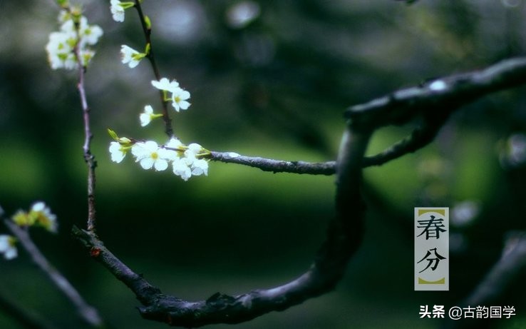 二十四节气对应一句诗句,二十四个节气二十四首诗词与配图