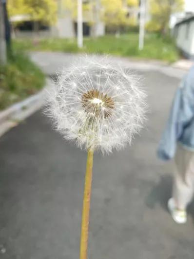 泰州学院和贵州师范大学,四十六所高校