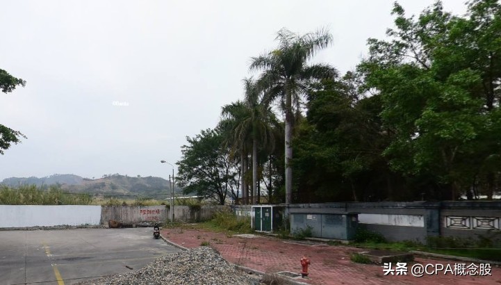 广东新宏泽包装股份有限公司,新宏泽深度分析