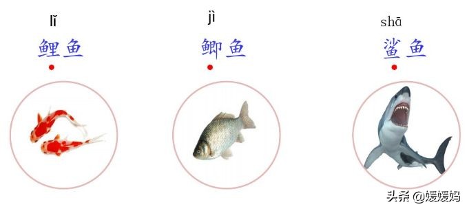 部编版语文三年级上同步练习答案,部编版三年级上册语文同步练习