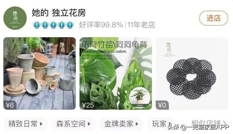 春天花会开|这20家植物淘宝店，植物杀手看了也想买！