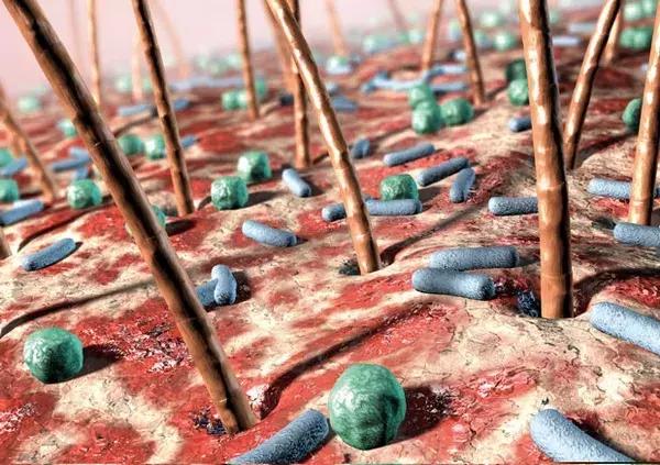 科学证实的益生菌,益生菌并非人人都适合