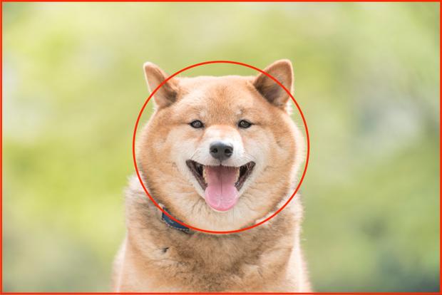 基础拍照构图教学,基础拍风景构图方法和技巧