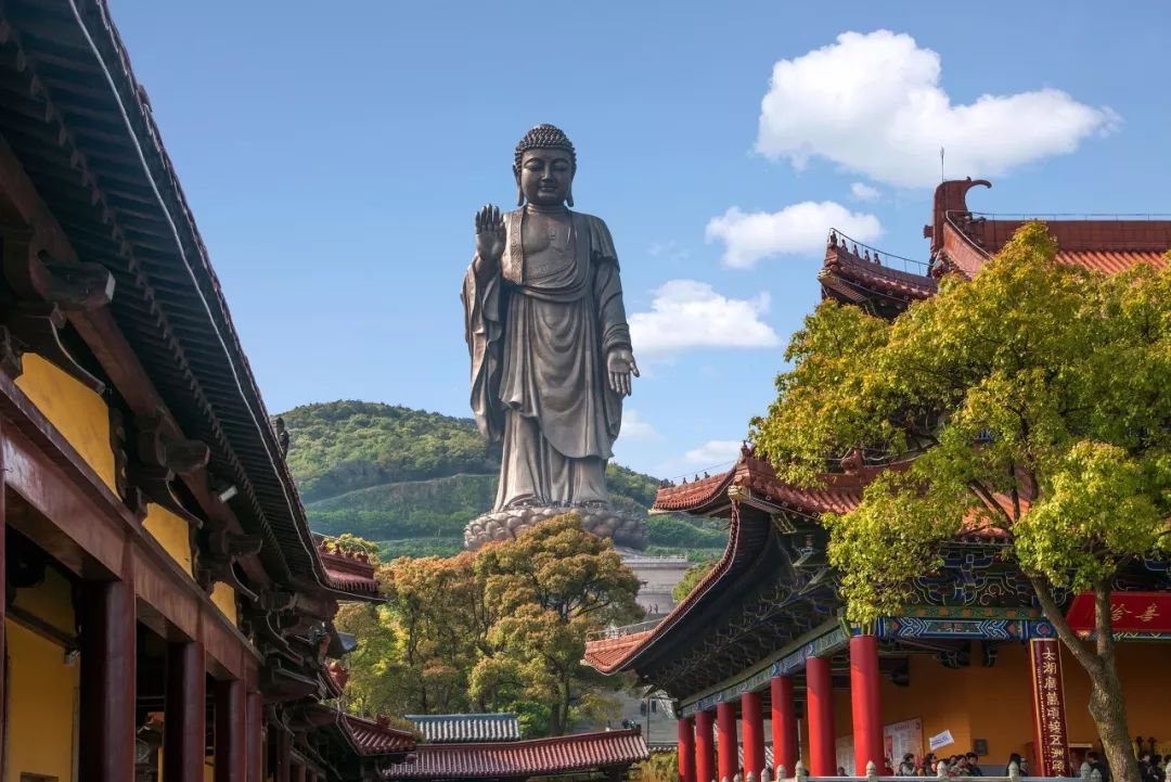 三大赏樱胜地哪个地方樱花最多,国内赏樱花的最佳地点