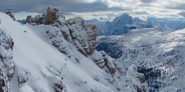 金雕捕食世界第一大鹰,金雕打得过老虎