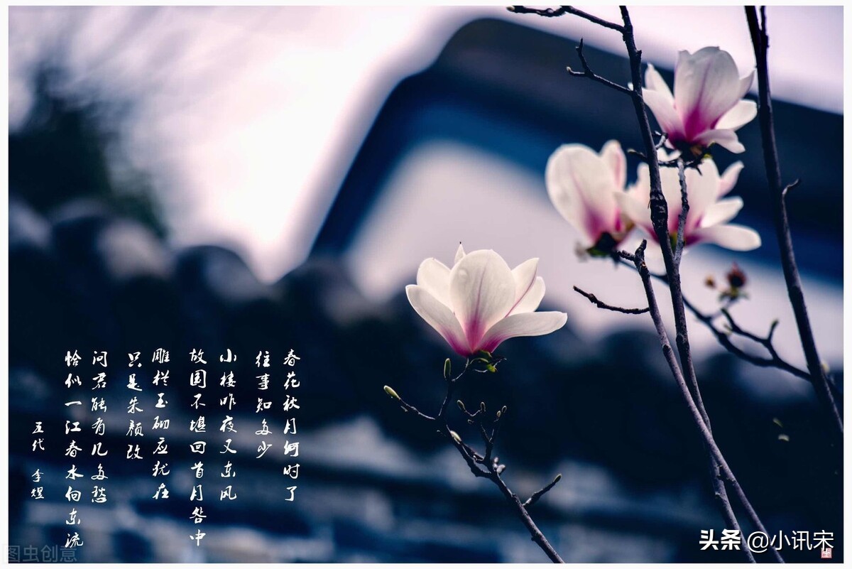 南唐李后主的下场,南唐后主真的是被宋太宗毒杀的吗