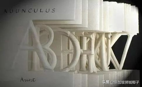 新加坡这些东西千万别带,去新加坡一定要换现金吗