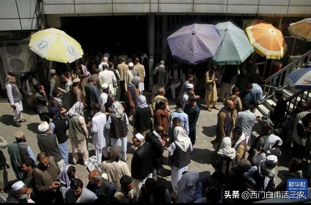 中国大量进口阿富汗松子,阿富汗松子中国有吗