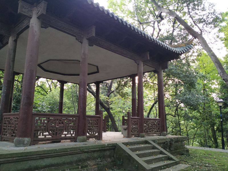 林逋隐居西湖孤山,林逋隐居杭州孤山阅读答案