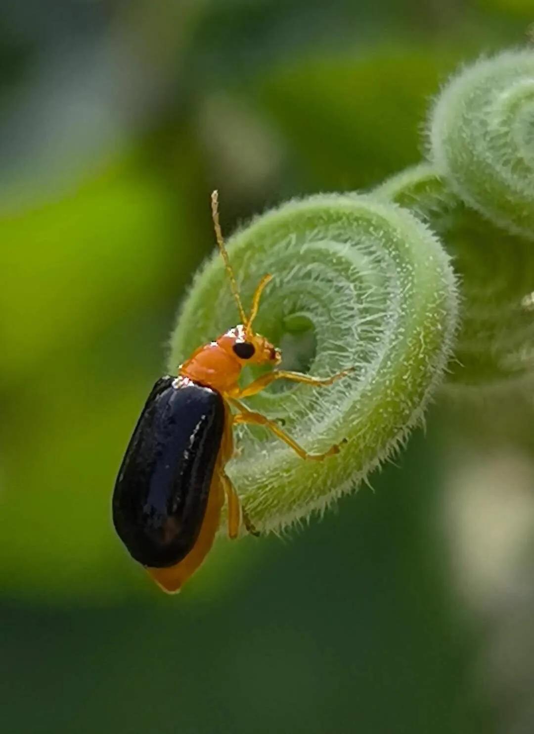 手拍世界-2021年09月各周最佳作品专集（总第716期）