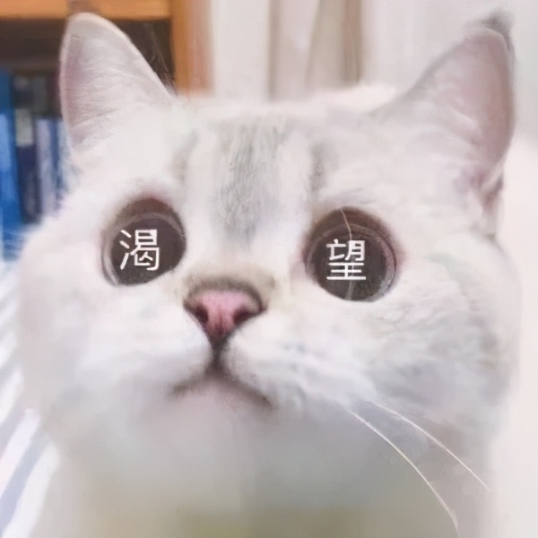 这些小孩的发型，你见都没见过