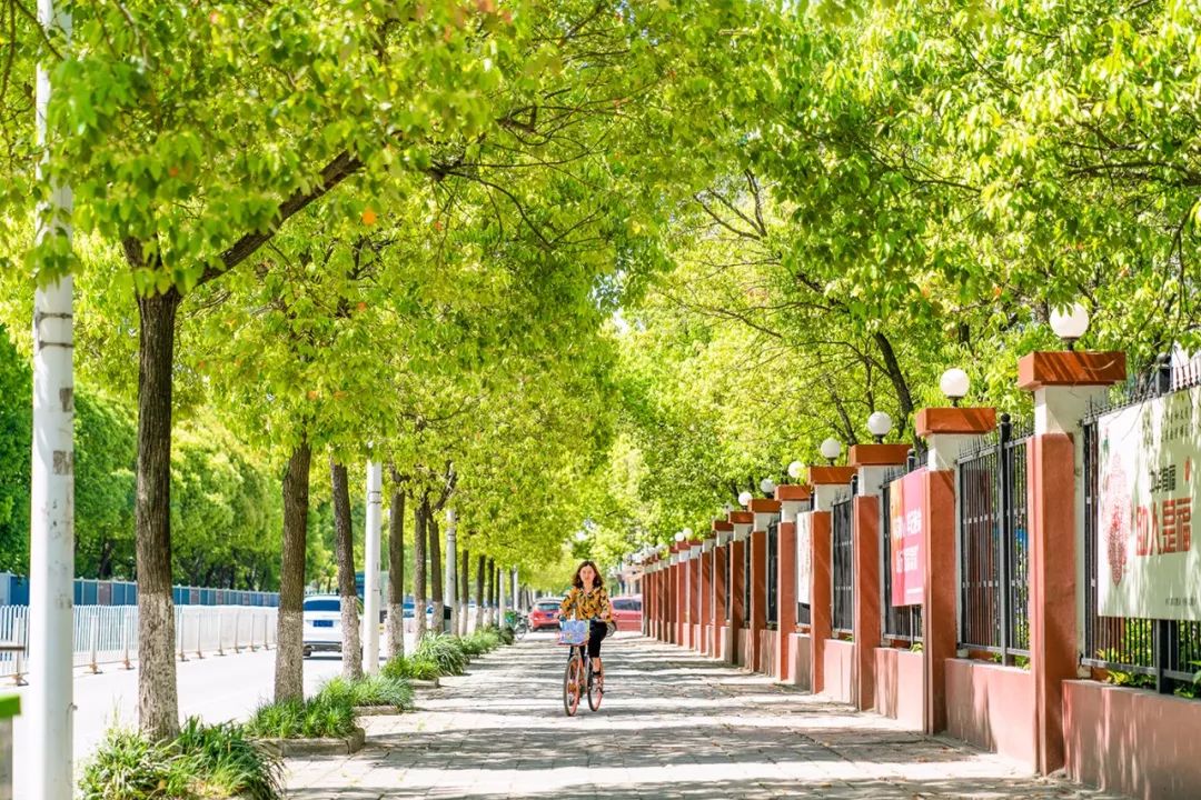 在武汉必做的20件事,武汉生活指南100条