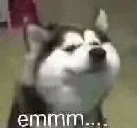 gucci几千块的包,几千块钱的gucci包包