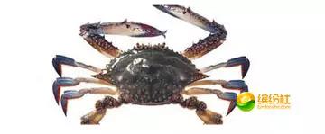 舟山海鲜攻略2天1晚住宿自由行,舟山最好的海鲜