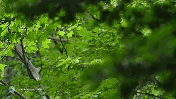 设计一个具有地域文化特色的酒店,10间小型酒店设计