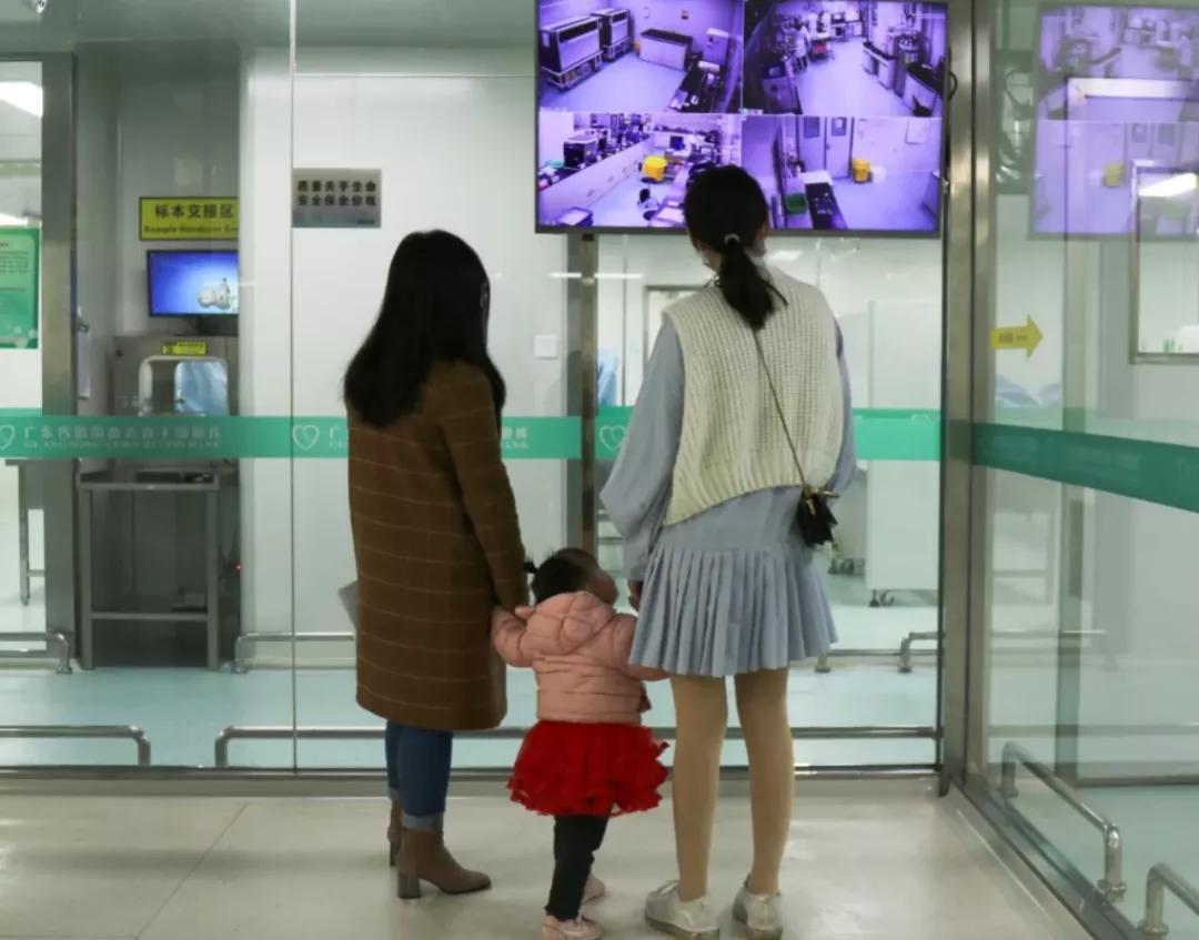 回输脐带血,自体脐带血回输治疗脑瘫