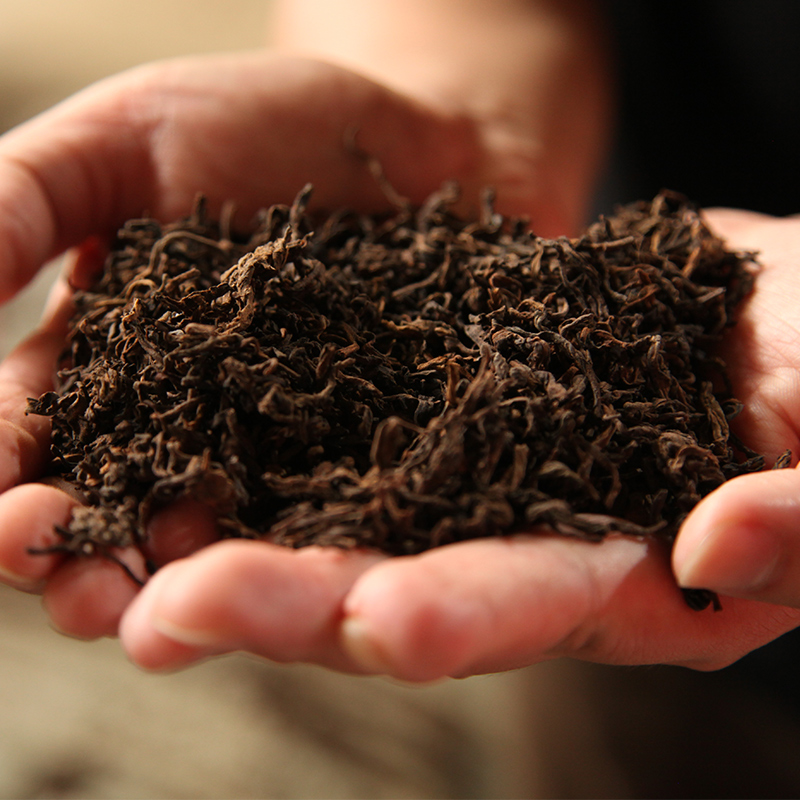 福海茶厂早春毛尖,福海茶厂春茶价格