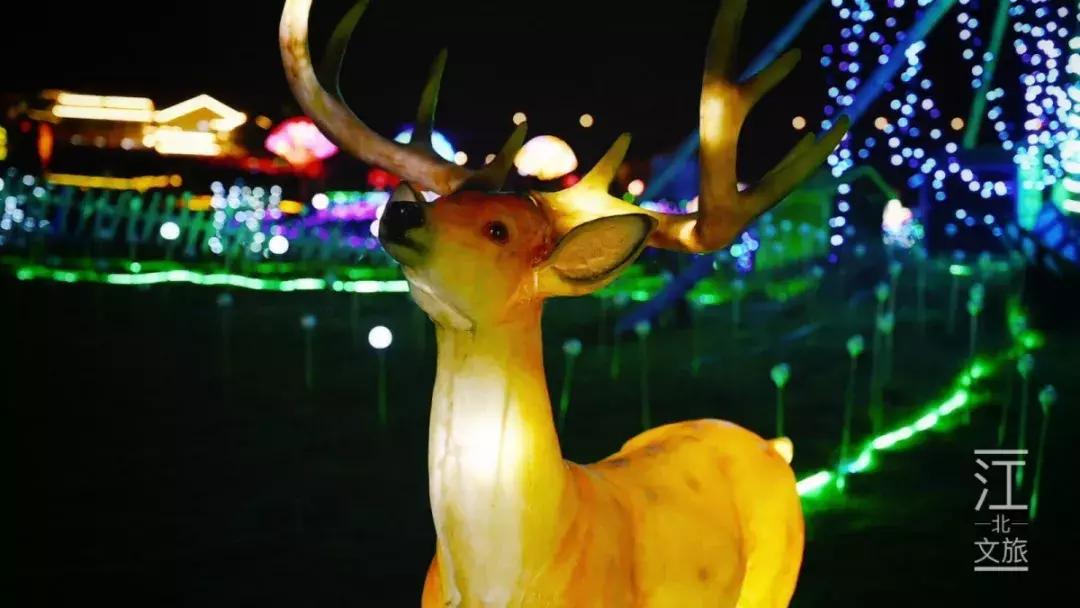 宁波醉美海湾,宁波夜游打卡的好地方