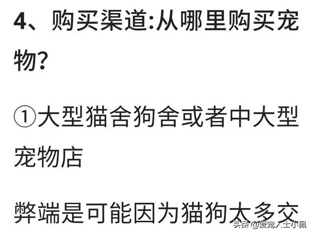 新手养狗怎么注意犬瘟细小,细小很严重如何判断狗狗得了细小