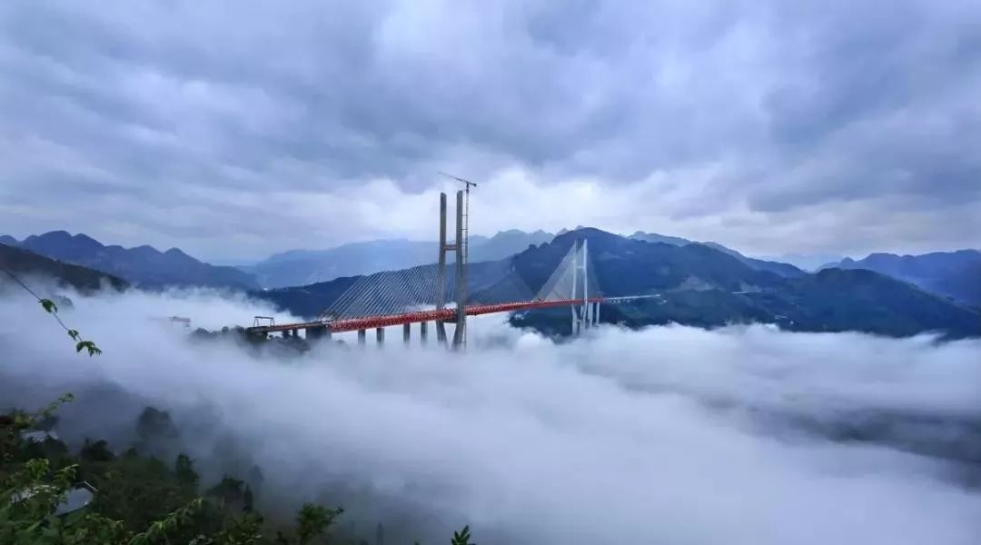 海棠依旧|永远怀念我们的周总理