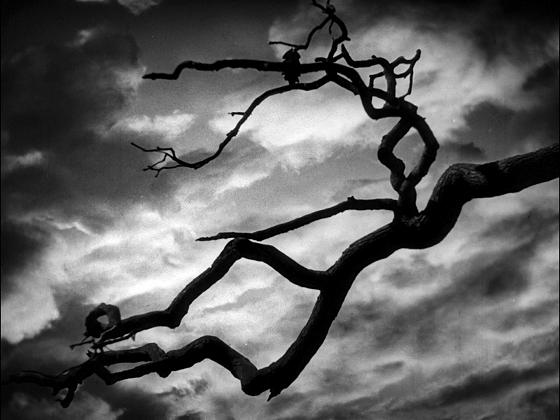 雾都孤儿电影思维导图,雾都孤儿电影推荐词