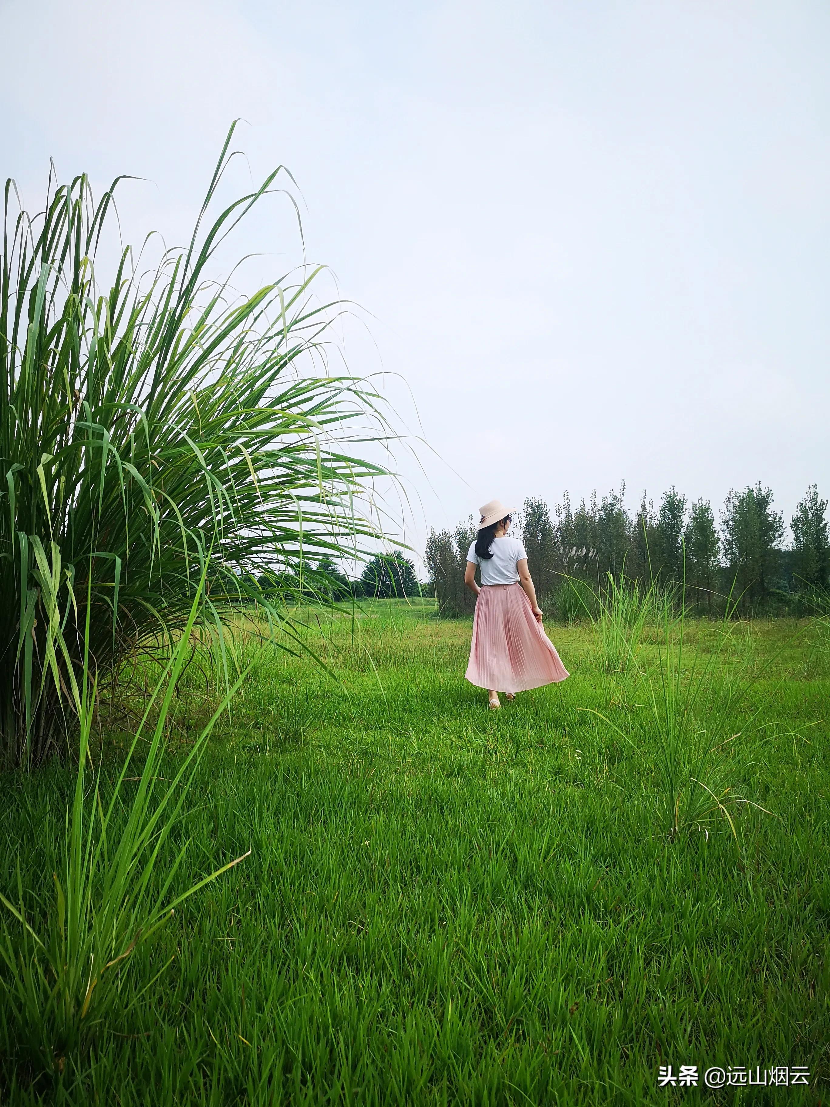 三个方法拍照,自己用自拍杆如何拍照不露杆