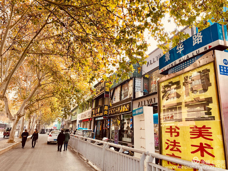 涧西牡丹广场老照片,洛阳牡丹手机拍照