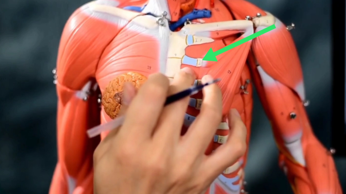 心脏旁边一抽一抽的发紧,心脏扎进一根针能恢复吗