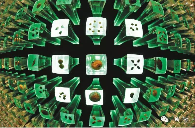 什么样的照片可以放到屏幕上,什么样的照片容易获奖