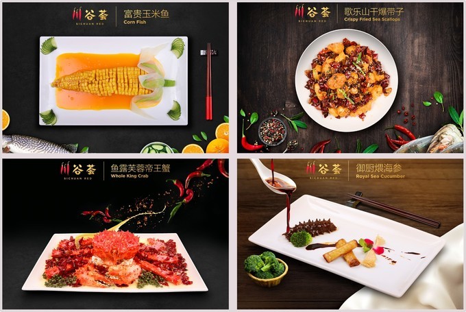 海洋光谱号到日本玩什么,海洋光谱号一日游攻略