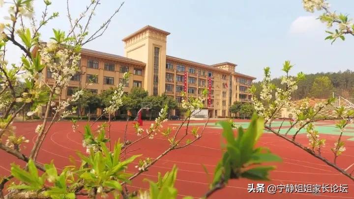 成都名校系列,成都师大一中在四川排名