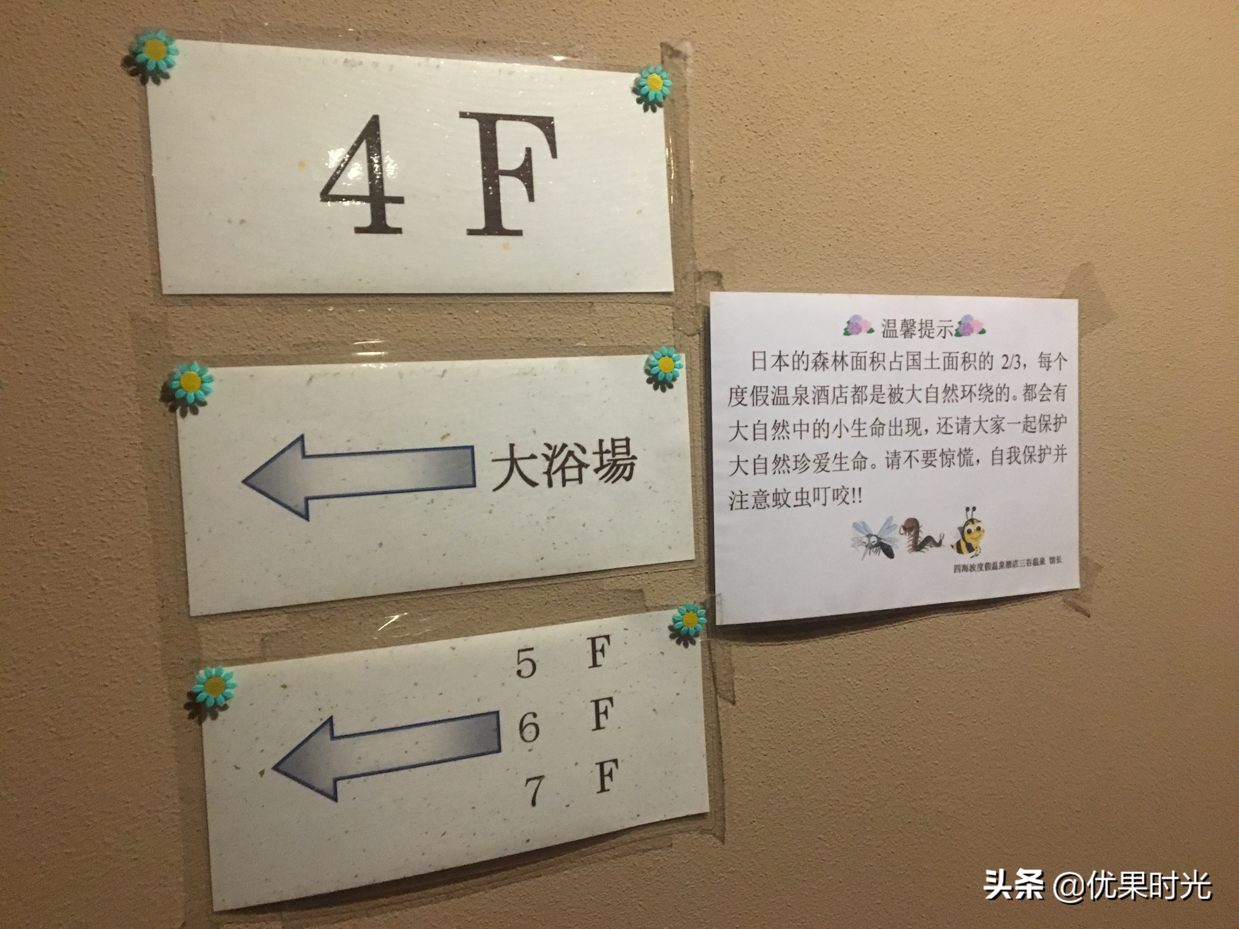 本州6日游,日本7天6晚本州之行