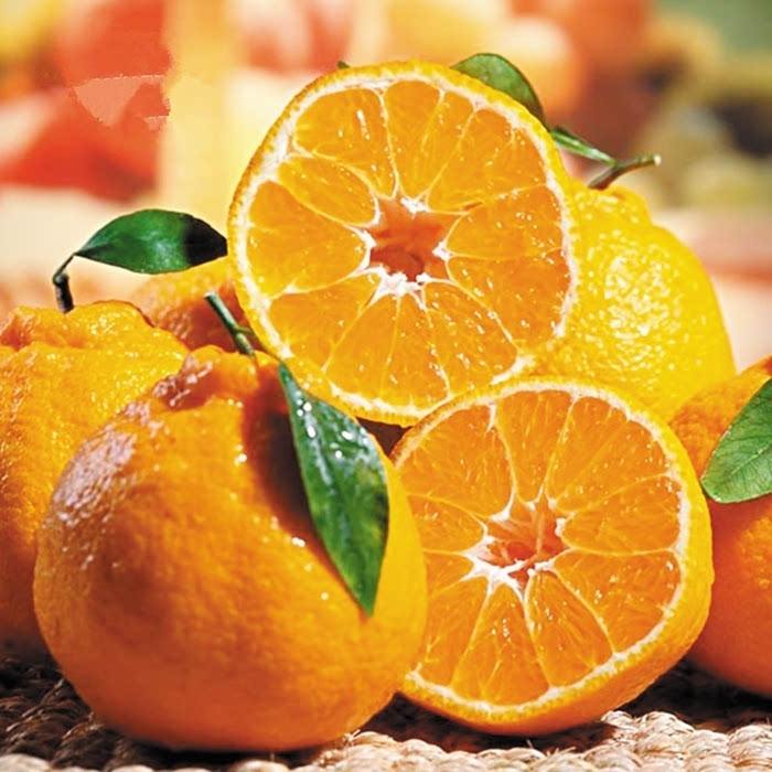 丑橘的食用方法,如何做到丑橘里是沙糖桔