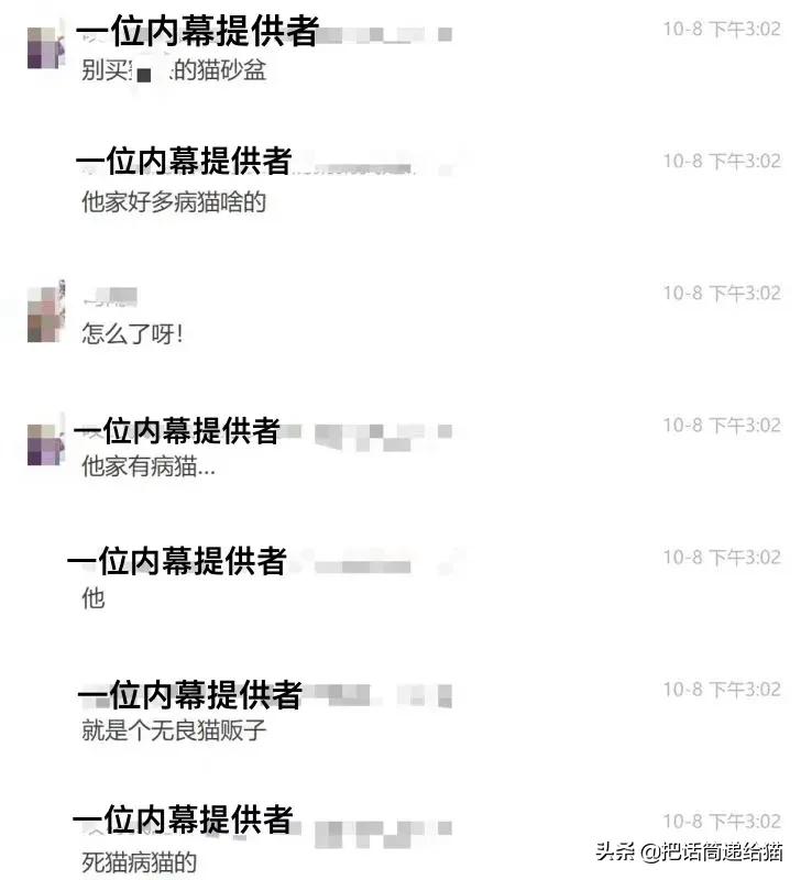 虐猫后良心发现加价“*养送**”？在日本领养流浪猫没你想的那么美好