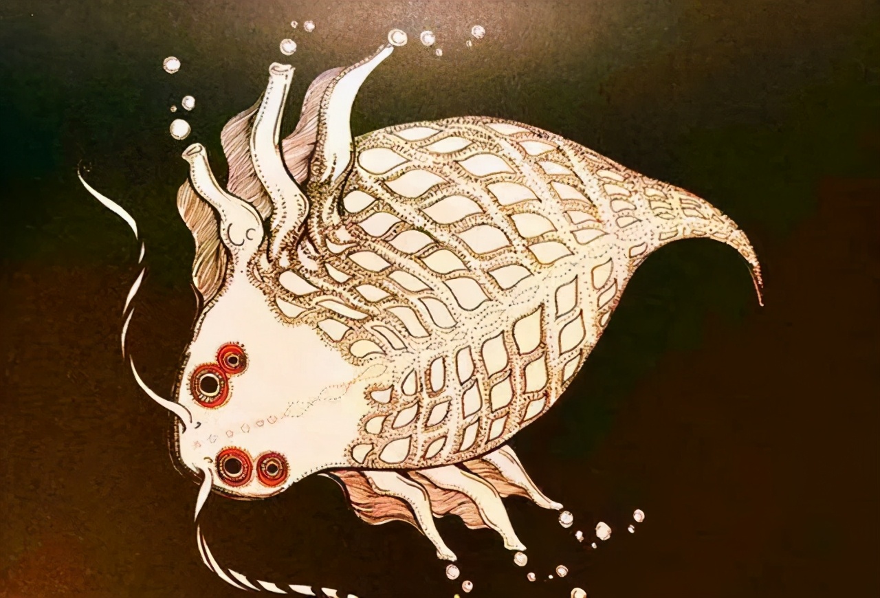 叠词听起来可爱的名字,叠词真的很可爱