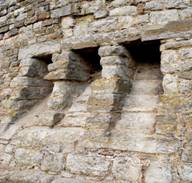 怎么治瘟疫,如何控制上厕所