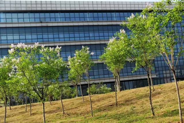 颜值爆城！云龙湖边的这所高校，今年要提前招你...